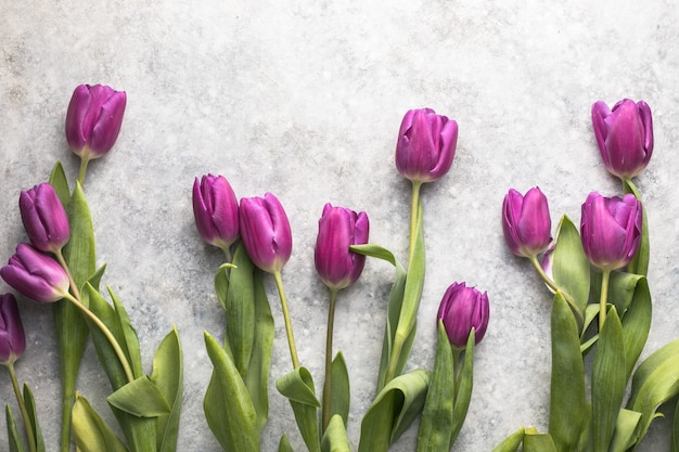 Détail de bouquet de fleurs de tulipes lilas