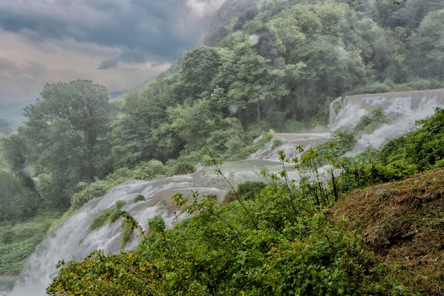 Un détail de cascade sur fond de forêt verte