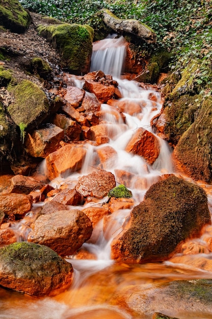 Photo détail de la cascade de sources minérales sur un ruisseau d'eau minérale avec de la boue ferrique sur des pierres vertes