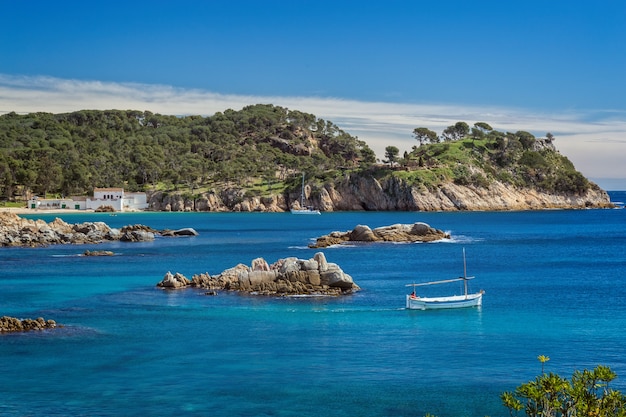 Détail de la côte espagnole à l'été (Catalogne, Costa Brava)