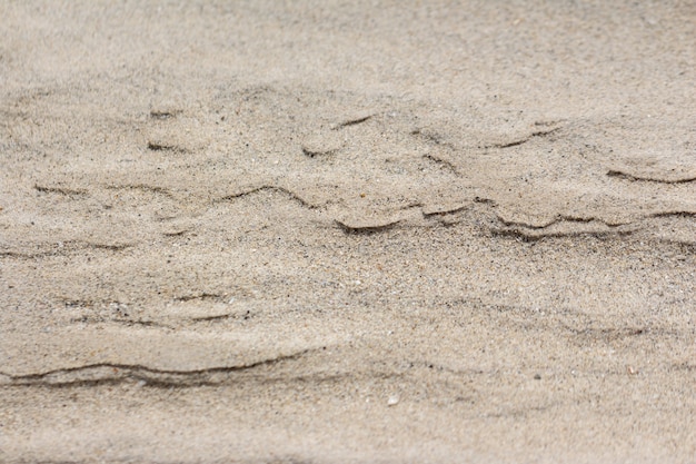 Photo détail du corail de sable et de la coquille après l'eau.