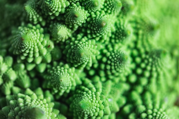 Détail du motif de texture de brocoli romanesco végétal. Concept de nourriture saine.