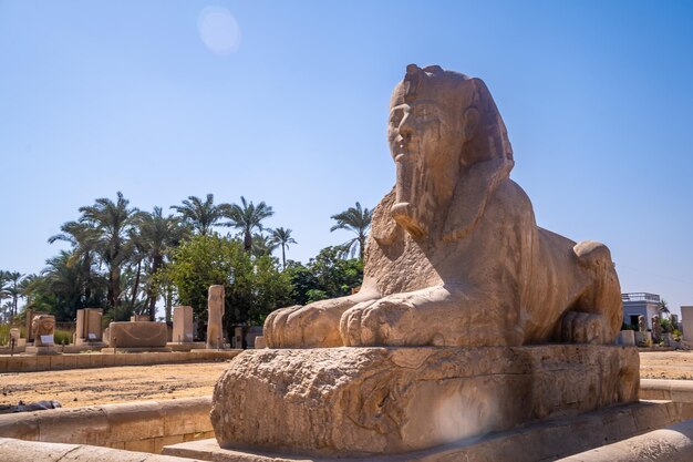 Détail du précieux Sphinx de Memphis au Caire Egypte