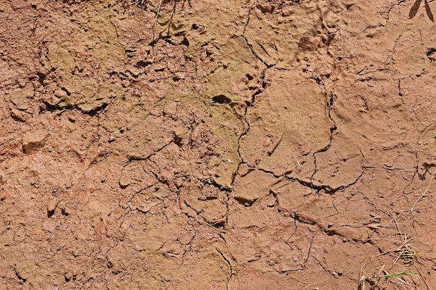 Détail du sol avec des fissures dans le sol