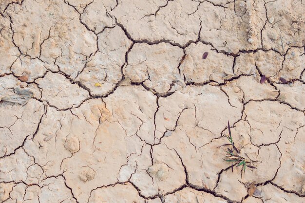 Détail d'une fissure de la terre fissurée le réchauffement climatique du sol