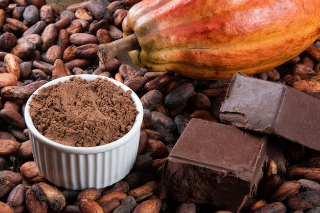 Détail de fruits de cacao avec des morceaux de chocolat et de poudre de cacao sur les fèves de cacao crues.