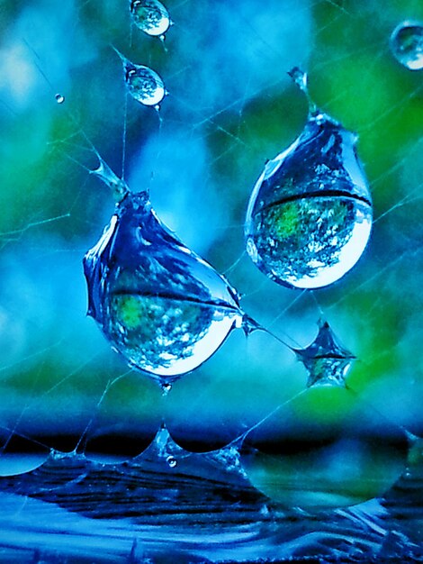 Photo détail des gouttes d'eau sur la toile d'araignée