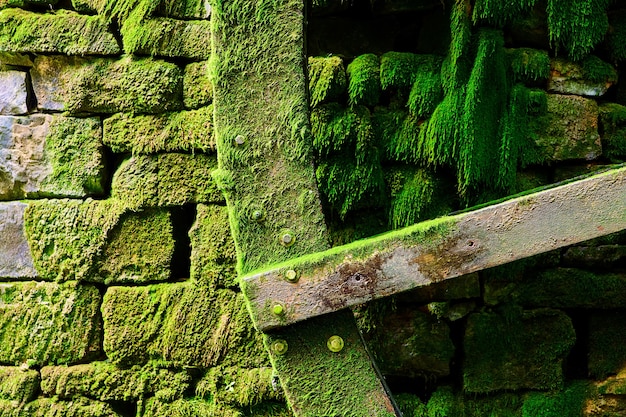 Détail de lame sur roue à eau pour moulin à eau avec pierres et recouvert de mousse verte