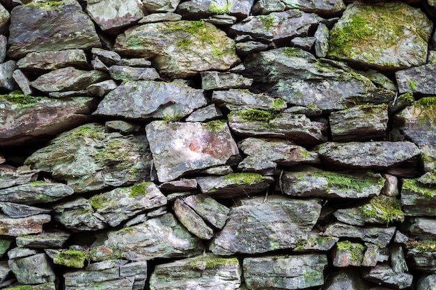 Détail d'un mur de pierres humides avec des parties de mousse