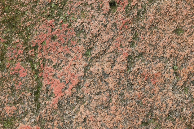 Détail naturel des roches avec de la mousse verte La texture de la vieille pierre roche surface altérée Gros plan