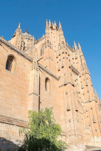 Détail photo d'une partie de la cathédrale de Salamanque en Espagne