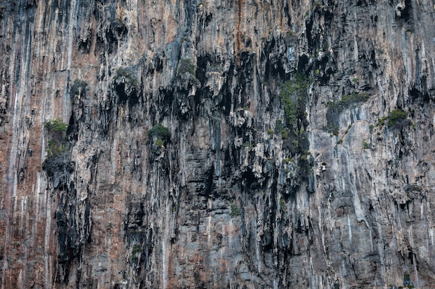 Détail de la texture de la falaise rocheuse sur l&#39;île de la mer kra bi Thaïlande