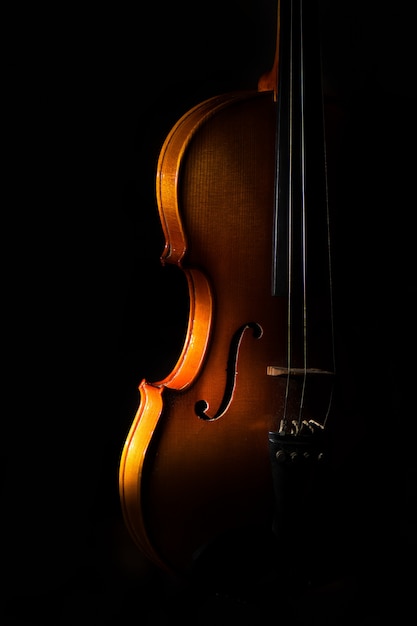 Détail De Violon Sur Un Fond Noir Entre La Lumière Ou Les Ombres