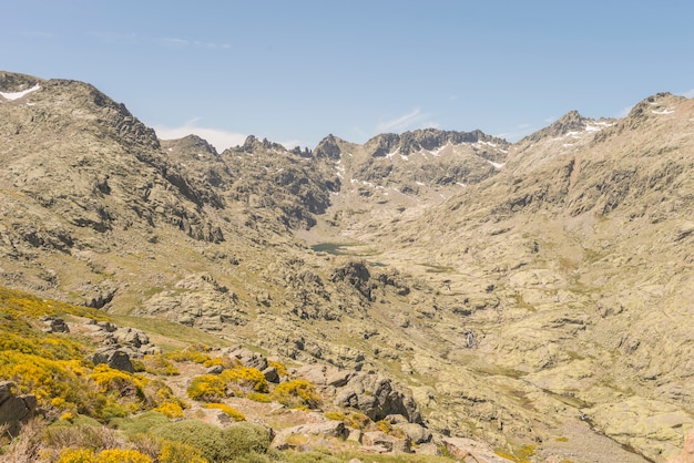 Détails du parc de Gredos