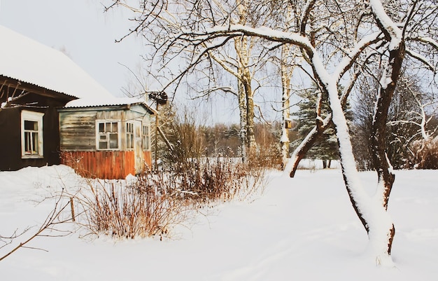 Détails de la nature hivernale