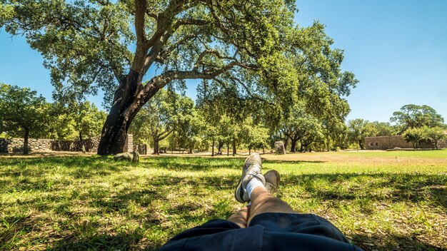 Détendez-vous dans le parc