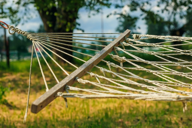 Détente avec hamac dans la forêt verte