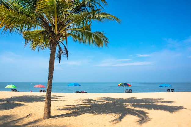 Détente sous un palmier sur une plage éloignée en Inde