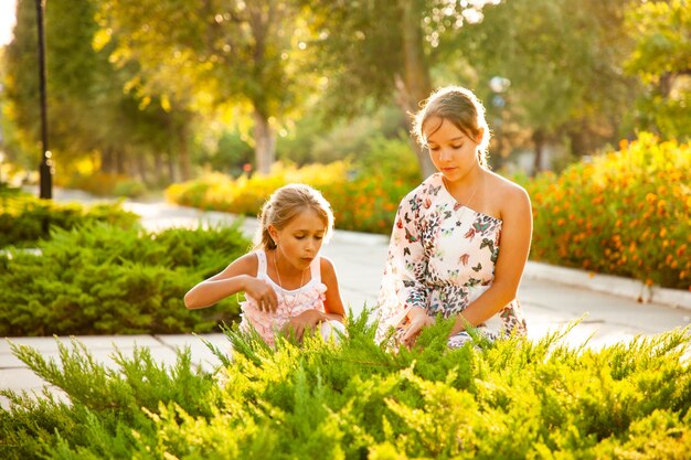 Deux adorables sœurs regardent un grand buisson vert et profitent d'une chaude journée ensoleillée d'été dans le magnifique parc