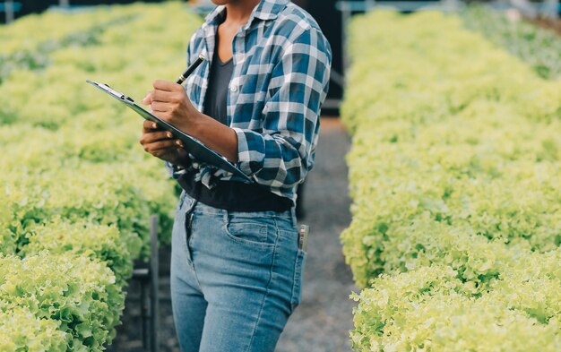 Deux agriculteurs asiatiques inspectent la qualité des légumes biologiques cultivés en hydroponie