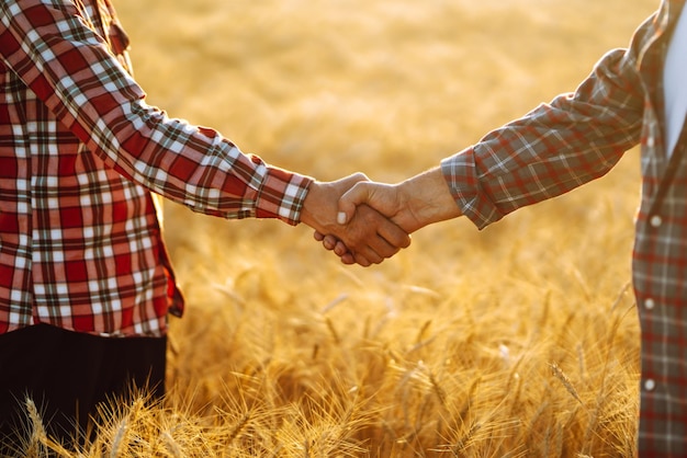 Deux agriculteurs debout dans un champ de blé et se serrer la main au coucher du soleil Concept de récolte