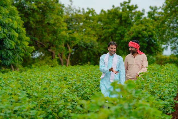 Deux agriculteurs indiens parlant au champ de l'agriculture du coton.