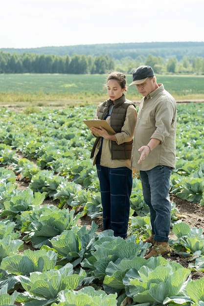 Deux agro-ingénieurs discutant des caractéristiques du chou