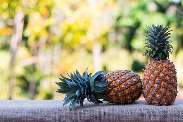 deux ananas sur la table en bois avec fond de nature