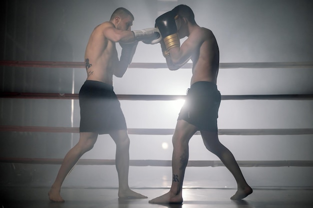 Deux athlètes d'arts martiaux mixtes musclés se battent sur le ring Photographie de haute qualité