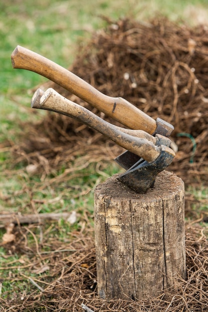 Photo deux axes sur une souche avec une souche d'arbre en arrière-plan.