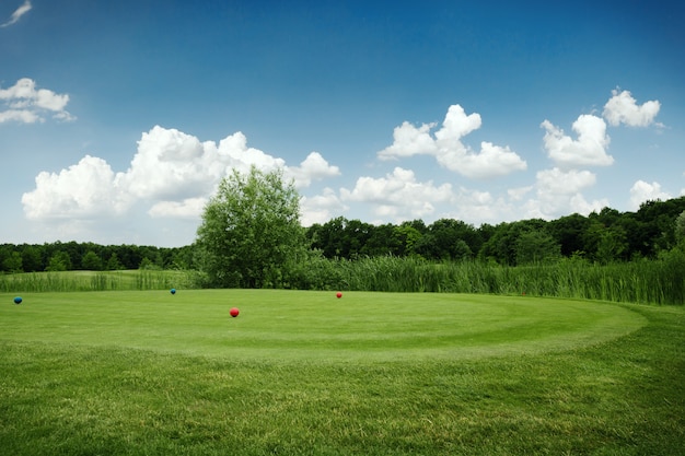 Deux balles sur un parcours de golf vert, personne