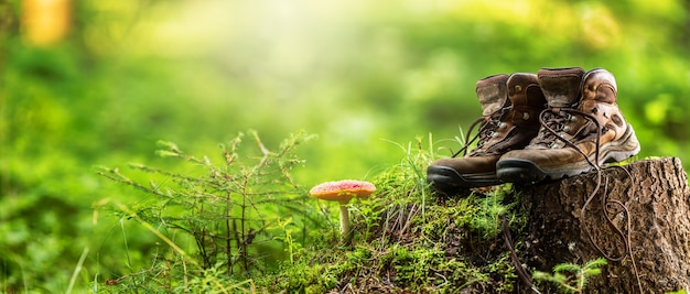 Deux bottes de randonnée d'occasion posées dans les bois sur une souche à côté d'un champignon vénéneux. Bannière panoramique horizontale.