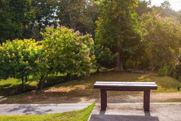 Deux chaise sur l&#39;herbe verte