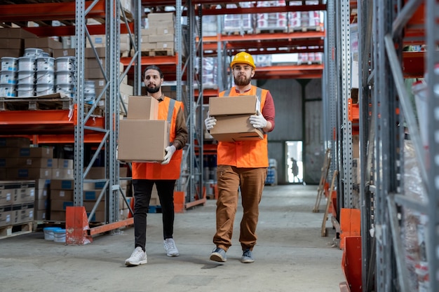 Deux chargeurs en vêtements de travail transportant des boîtes avec des marchandises