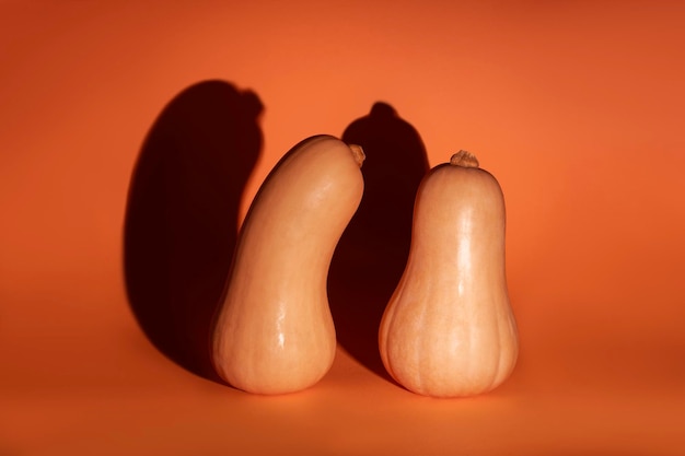 Deux citrouilles avec de grandes ombres sinistres isolées sur un fond orange d'halloween