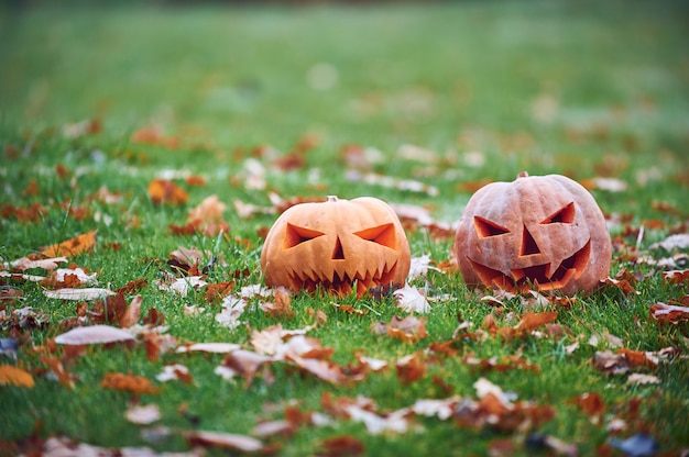 Deux citrouilles d'Halloween dans le parc en automne