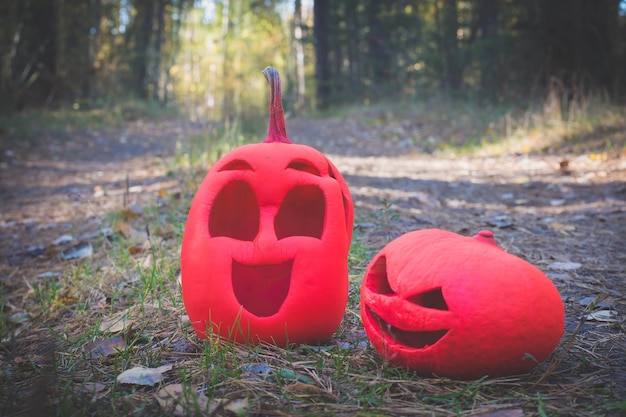 Deux citrouilles d'halloween roses dans la forêt d'automne se tiennent sur une route de campagne