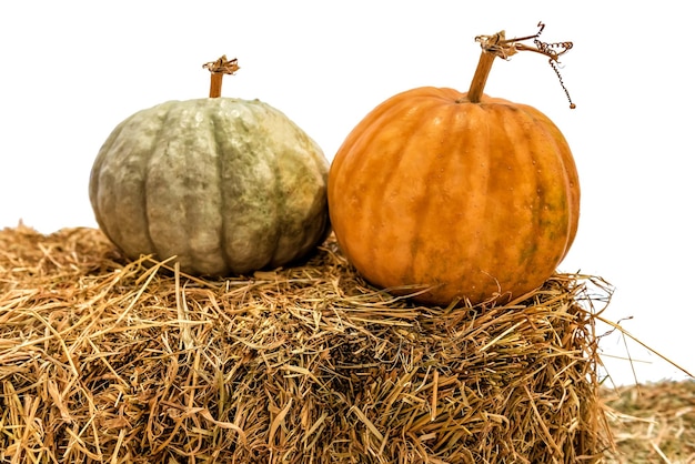 Deux citrouilles mûres sur le foin sur fond blanc