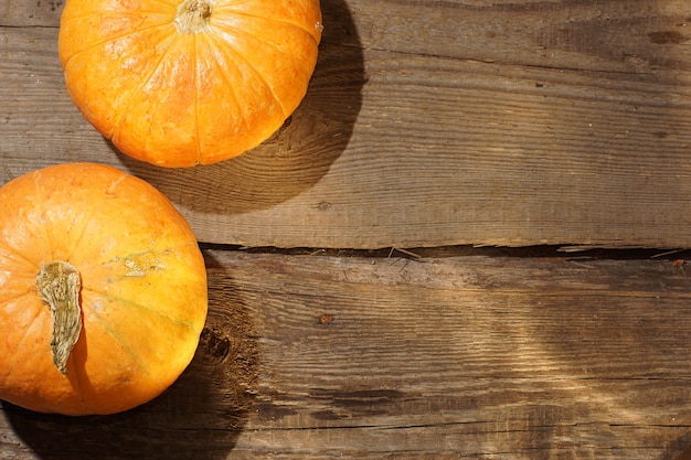 Deux citrouilles se trouvent sur une table en bois éclairée par la lumière du soleil.