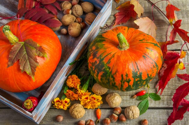 Deux citrouilles, soucis, feuilles pourpres et noix sur un vieux bois