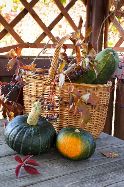 Deux citrouilles sur une table en bois sur fond de panier en osier