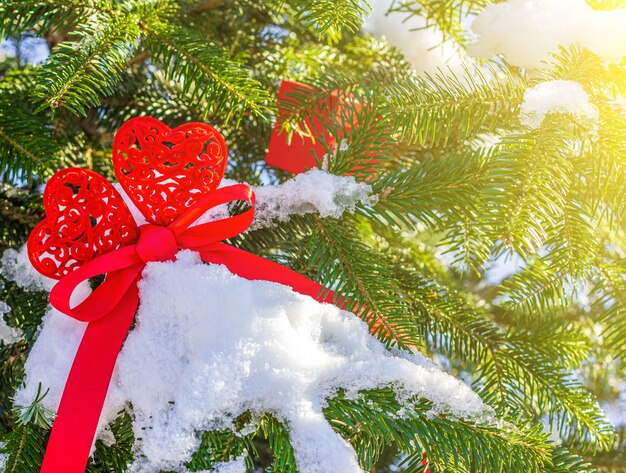 Deux coeurs rouges attachés avec un ruban rouge et une boîte cadeau rouge sur les branches d'un arbre de Noël