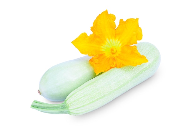 Deux courgettes mûres sur fond blanc