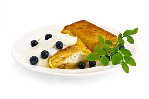 Deux crêpes avec du fromage cottage, des bleuets et une branche sur une assiette en porcelaine blanche, isolées sur fond blanc