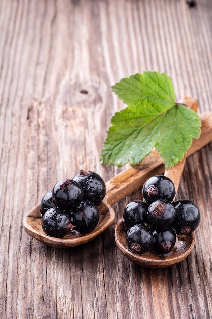 Deux cuillères en bois avec cassis frais et feuille verte