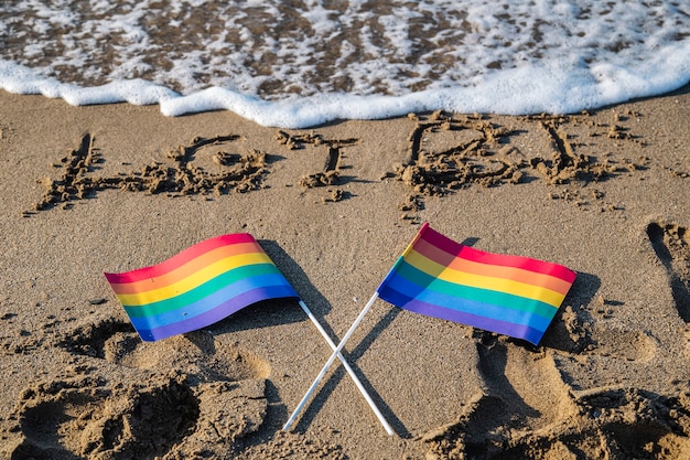 Deux drapeaux aux couleurs lgtbi au bord de la mer