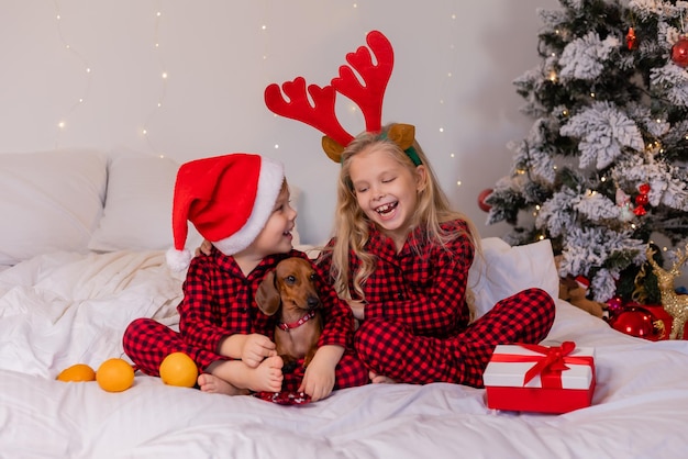 deux enfants heureux en pyjama ont reçu un chien teckel en cadeau pour Noël. animaux de compagnie pour le Nouvel An