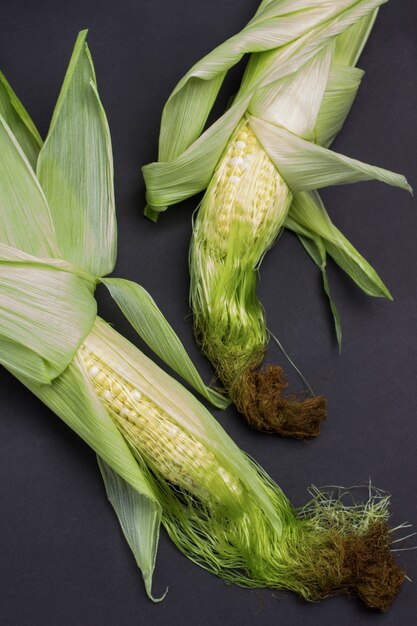 Deux épis de maïs avec feuilles et soie de maïs Fond noir Mise à plat