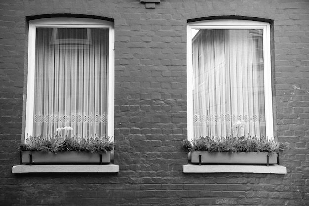 Deux fenêtres avec des fleurs et des plantes dans des pots dans la maison sur un mur de briques rouges sur fond de brique Immobilier architecture construction bâtiment concept de style de vie