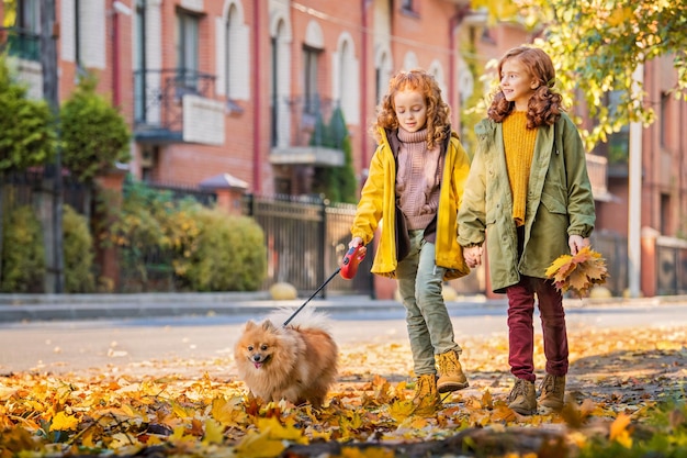 Deux filles aux cheveux roux marchent dans la rue par une journée d'automne ensoleillée Marcher avec un petit chien de Poméranie moelleux